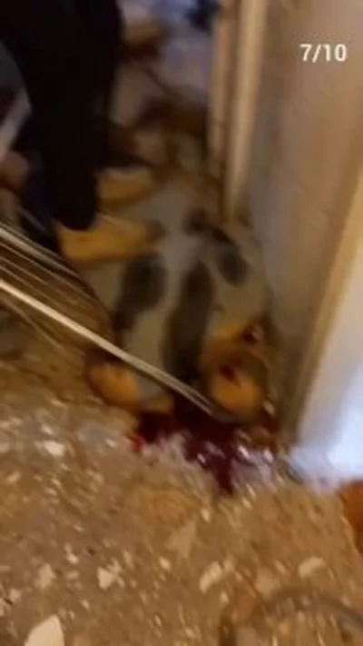 Gazan Terrorist Films Himself Stomping on Dead Israeli’s Head
