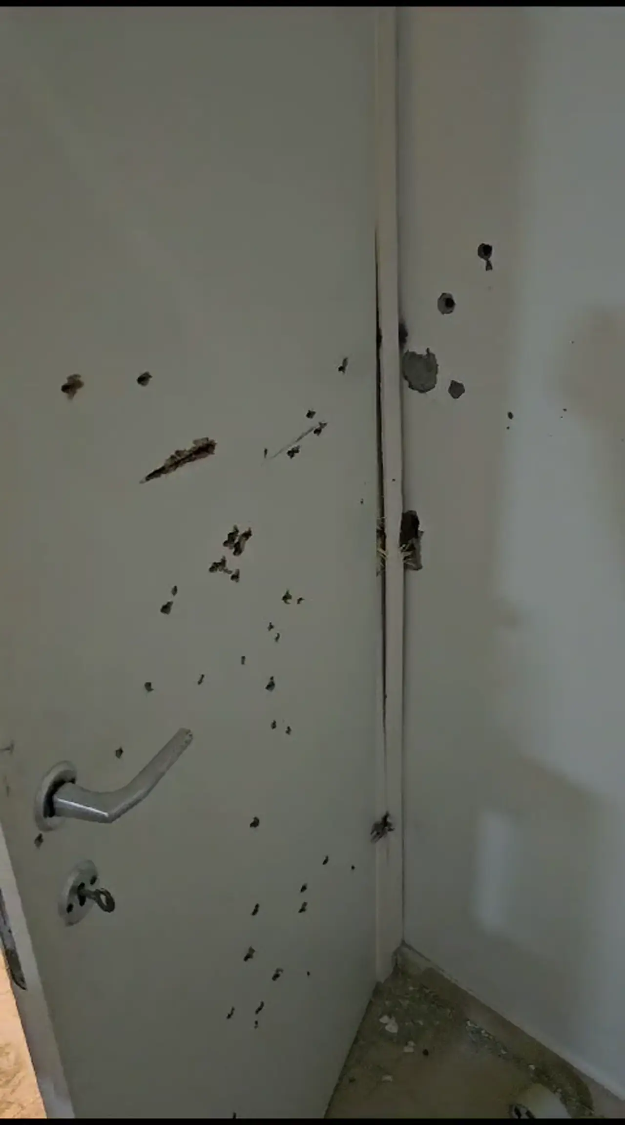 000ececf ad2b 4607 bb61 81b04c5dc4e5